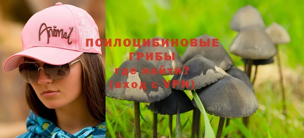 соль курить ск Верея